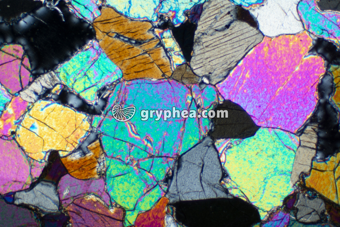 Péridotite LPA x10 - gryphea.com